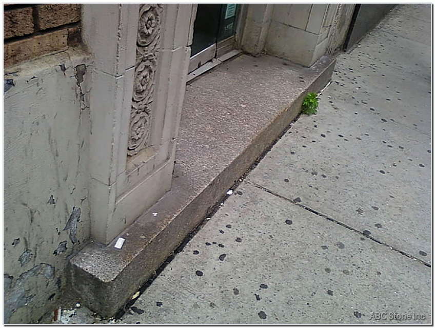 Granite Outdoor Step. Before Cleaning