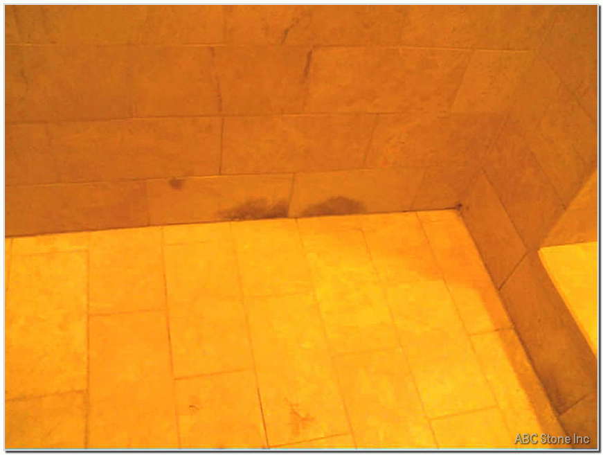 Shower Mold Treatment and Removal